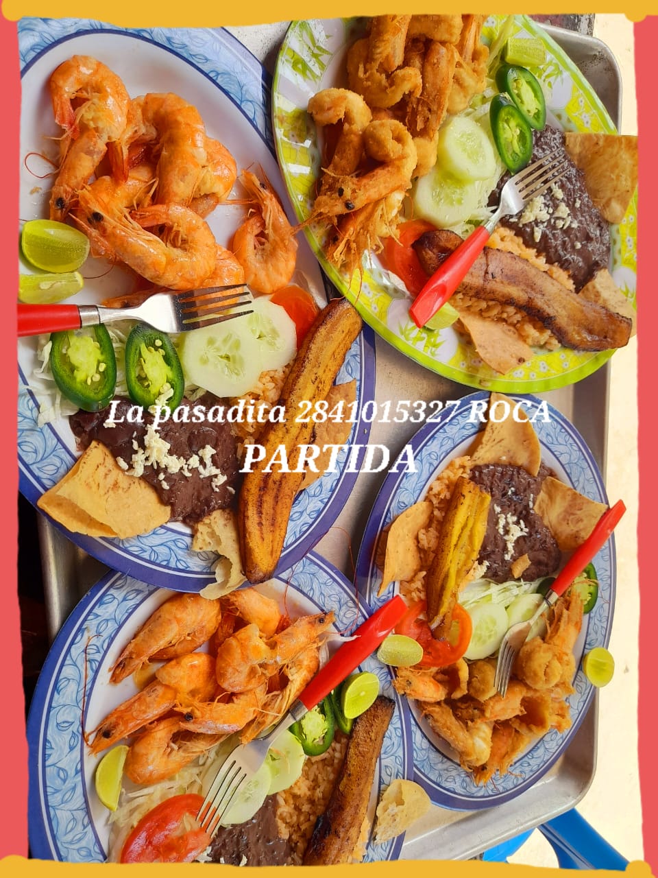 PALAPA LA PASADITA